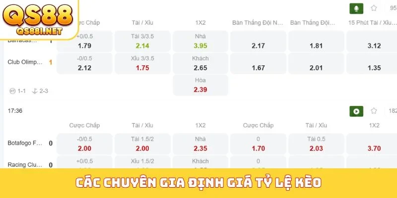 Nhà cái dựa vào gì để ra kèo - Các chuyên gia định giá tỷ lệ